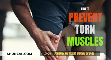 Preventing Torn Muscles: Precautionary Measures for Athletes