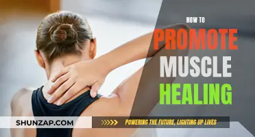 Promoting Muscle Healing: Strategies for Effective Recovery