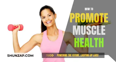 Promoting Muscle Health: Strategies for Strength and Wellness