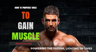Mastering Muscle Gain: The Ultimate Guide to Effective Bulking
