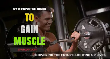 Mastering Weight Lifting Techniques for Optimal Muscle Growth and Strength