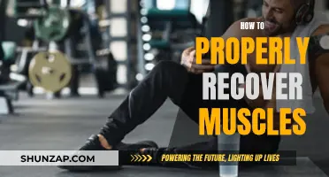Muscle Recovery: Techniques for Optimal Performance and Health