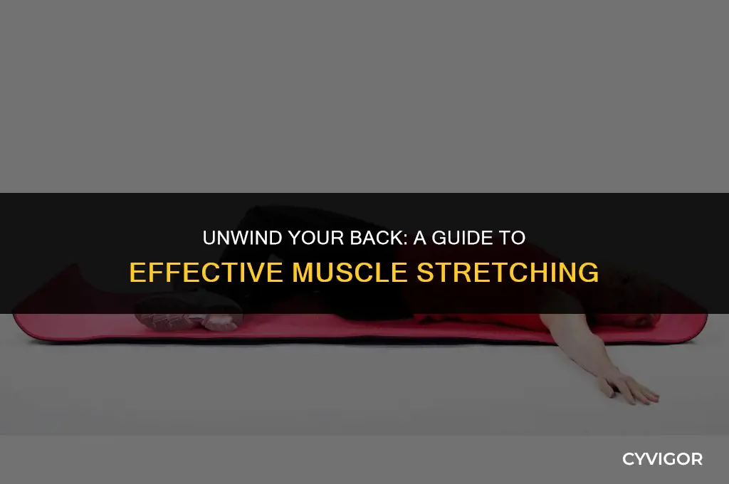 how to properly stretch back muscles