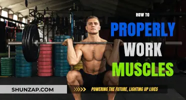 Master Muscle Engagement: Techniques for Effective and Safe Workouts