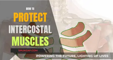 Protecting Your Intercostal Muscles: Tips for Prevention and Care