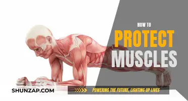 Protect Your Muscles: Strategies for Optimal Muscle Health