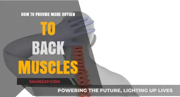Breathe Easy: Techniques to Oxygenate Your Back Muscles
