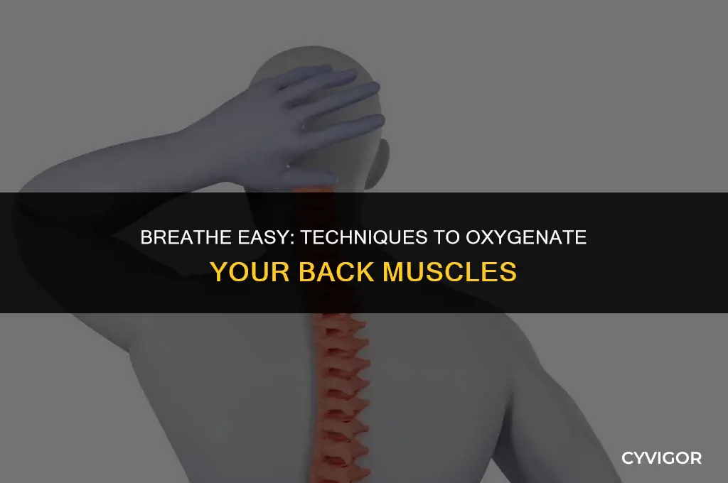 how to provide more oxygen to back muscles