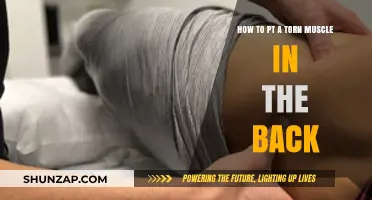 Effective Ways to Treat a Torn Muscle in Your Back