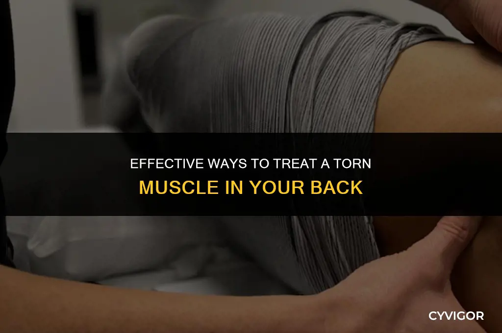 how to pt a torn muscle in the back