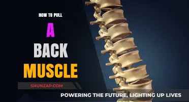 Avoiding Back Pain: How to Prevent Pulling a Back Muscle