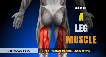 Preventing Leg Muscle Strains: Causes, Symptoms, and Effective Recovery Tips