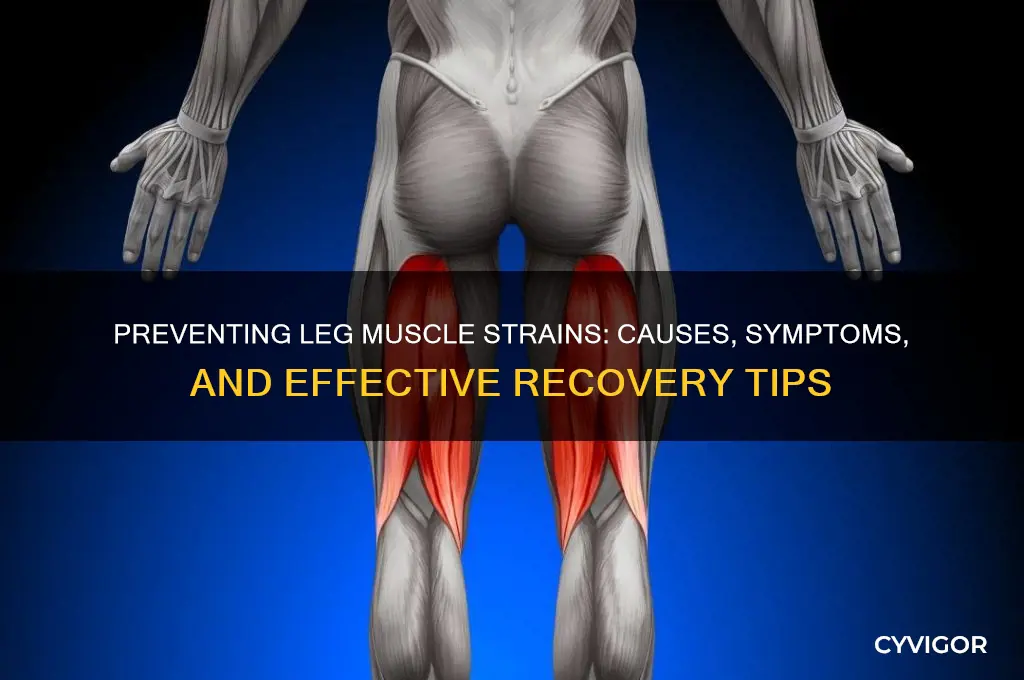 how to pull a leg muscle