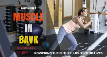 Preventing Back Muscle Strains: Causes, Risks, and Safety Tips