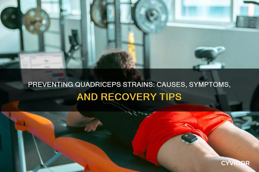 how to pull a quadriceps muscle