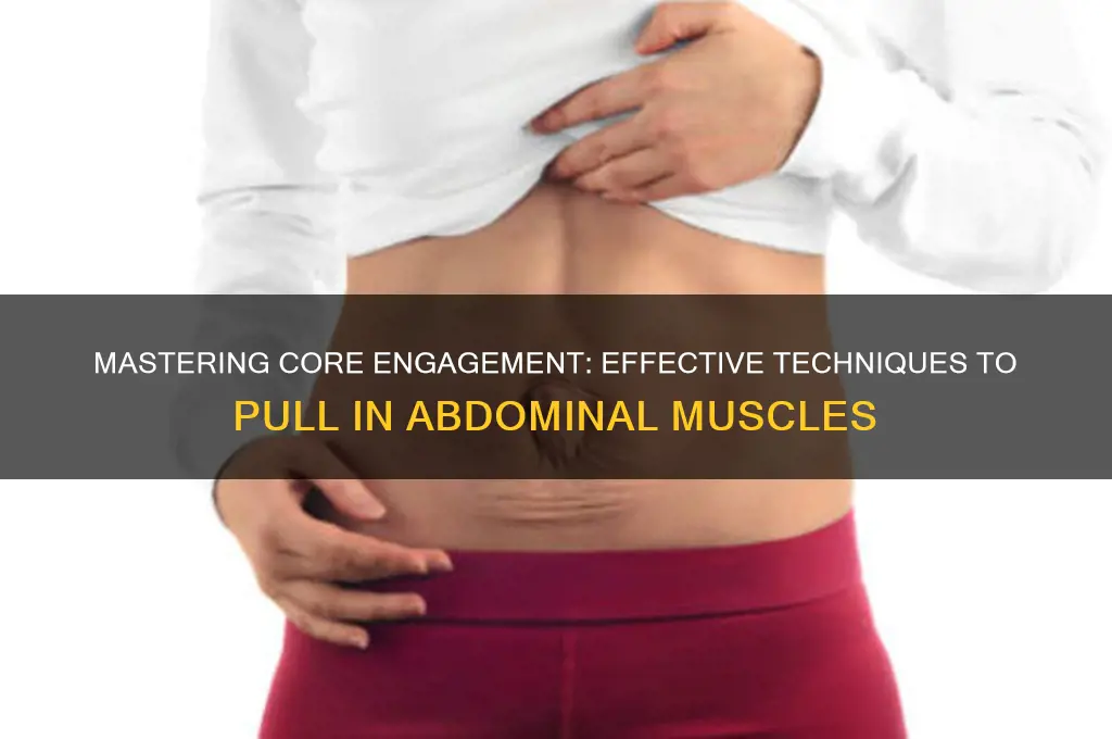 how to pull in abdominal muscles