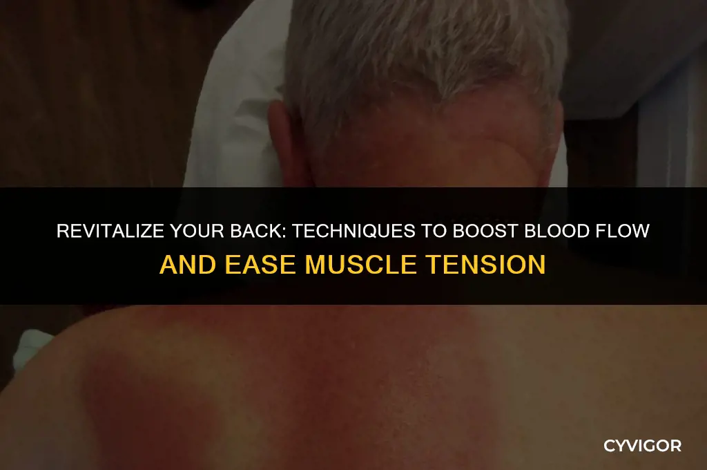 how to put blood flow in back muscles