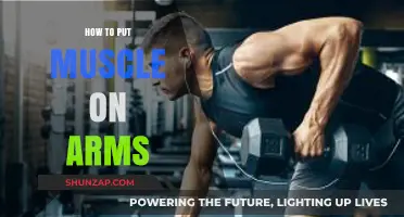 Effective Arm Muscle Building: Proven Techniques for Bigger, Stronger Arms