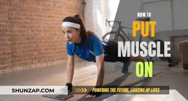 Building Muscle: A Guide to Gaining Strength