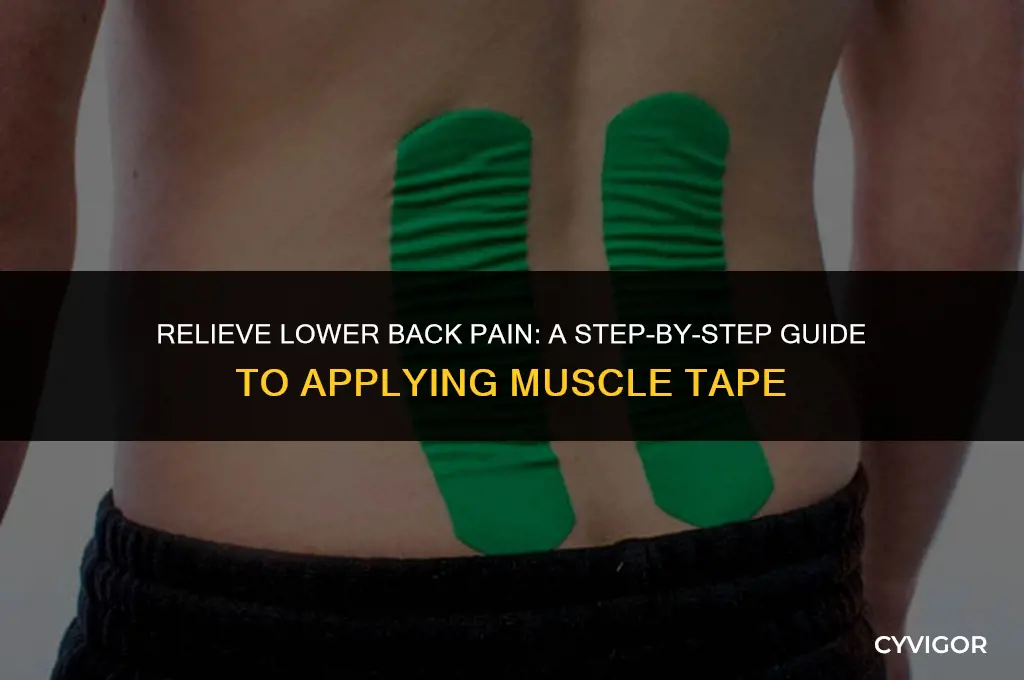 how to put muscle tape on lower back