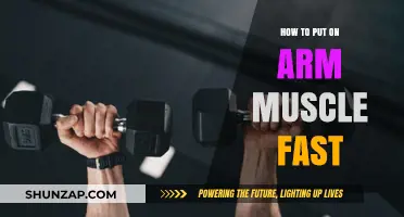 Build Bigger Arms Quickly: Proven Tips for Fast Muscle Growth