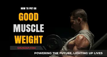 Effective Strategies for Building Lean Muscle Mass Naturally
