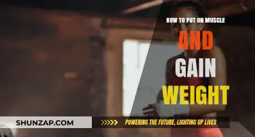Effective Strategies for Muscle Building and Healthy Weight Gain