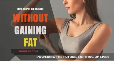 Build Lean Muscle: Effective Strategies to Avoid Fat Gain