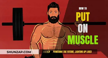Building Muscle: Effective Strategies for Gaining Mass