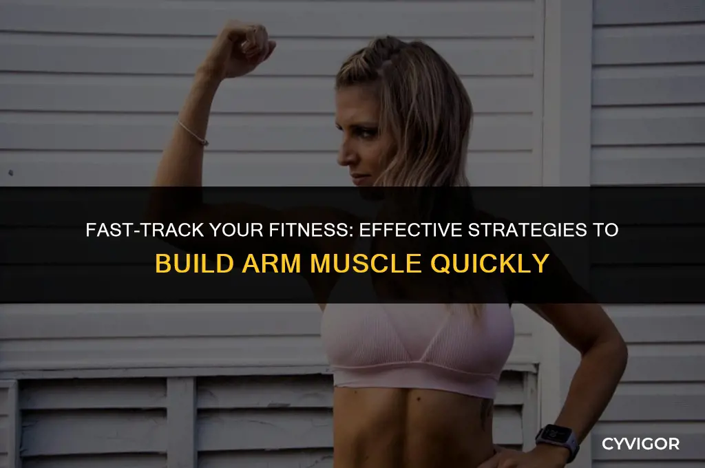 how to quickly build arm muscle