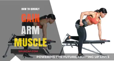 Effective Arm Muscle Building: Quick Tips for Stronger, Toned Arms