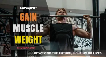 Effective Strategies for Rapid Muscle Gain and Weight Increase