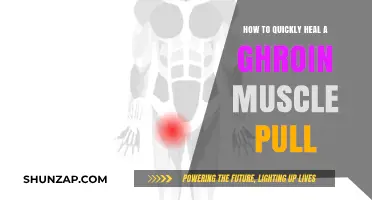 Effective Strategies to Rapidly Recover from a Groin Muscle Pull