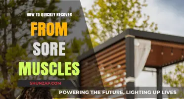 Effective Strategies for Rapid Muscle Recovery After Intense Workouts