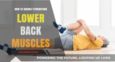 Rapidly Build Lower Back Strength: Essential Tips and Exercises