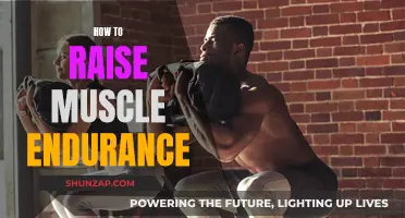 Build Muscle Endurance with These Simple Strategies