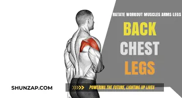 Effective Muscle Rotation: A Guide to Balanced Workouts