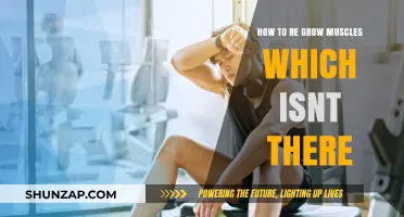 Rebuilding Lost Muscle: Effective Strategies for Regaining Strength and Size