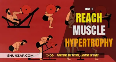 Building Muscle: Strategies for Achieving Hypertrophy