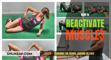 Reactivate Dormant Muscles: Simple and Effective Strategies