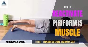 Reactivate Your Piriformis Muscle: Simple Techniques for Quick Relief