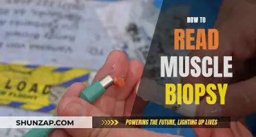 Muscle Biopsy: A Guide to Understanding the Results
