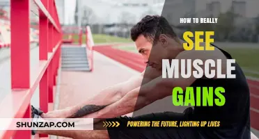Unlocking Visible Muscle Growth: Proven Strategies for Real Results
