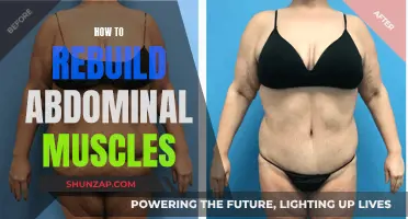 Rebuilding Abdominal Muscles: A Guide to Strengthening Your Core