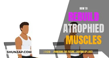 Rebuilding Atrophied Muscles: Strategies for Strength and Recovery