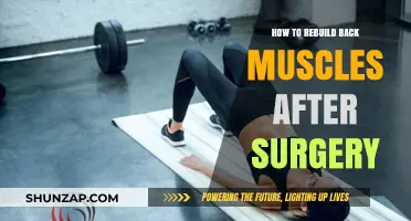 Strengthening Your Back: A Guide to Post-Surgical Muscle Recovery