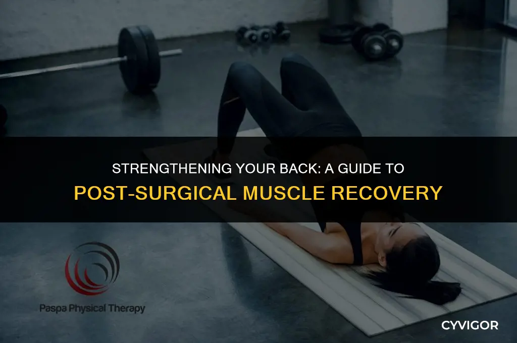 how to rebuild back muscles after surgery