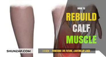 Rebuilding Calf Muscle: A Comprehensive Guide to Strength and Recovery