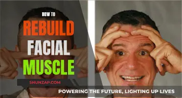 Rebuilding Facial Muscles: A Guide to Youthful, Toned Skin
