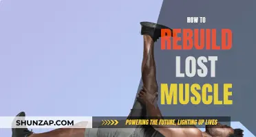 Rebuilding Lost Muscle: Strategies for Effective Muscle Gain